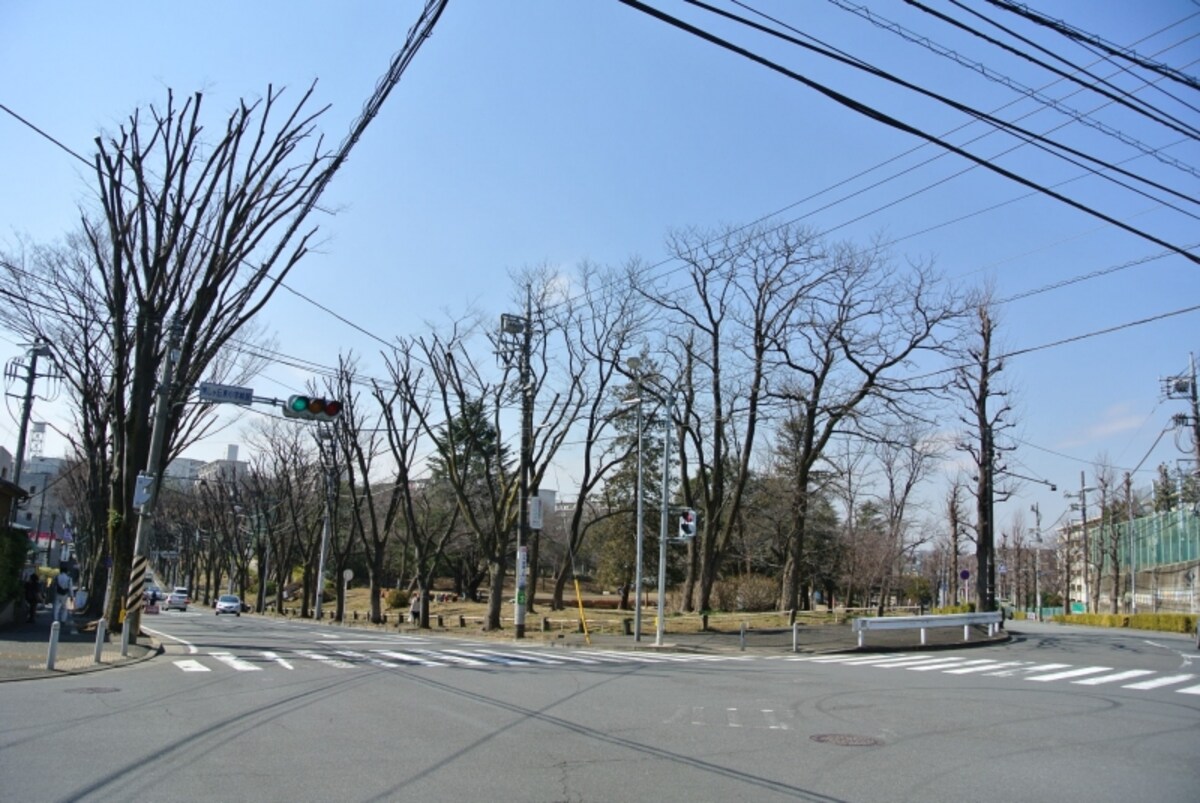 美しが丘東小学校前の交差点