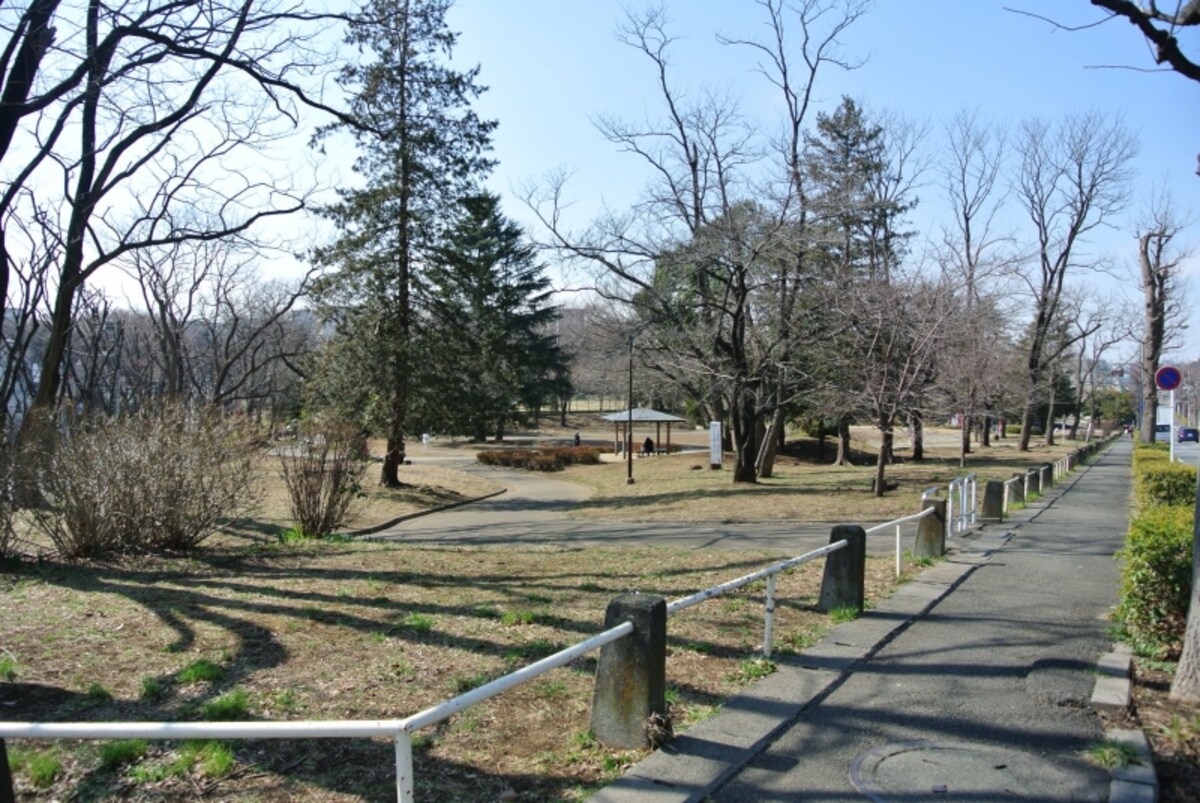 美しが丘公園