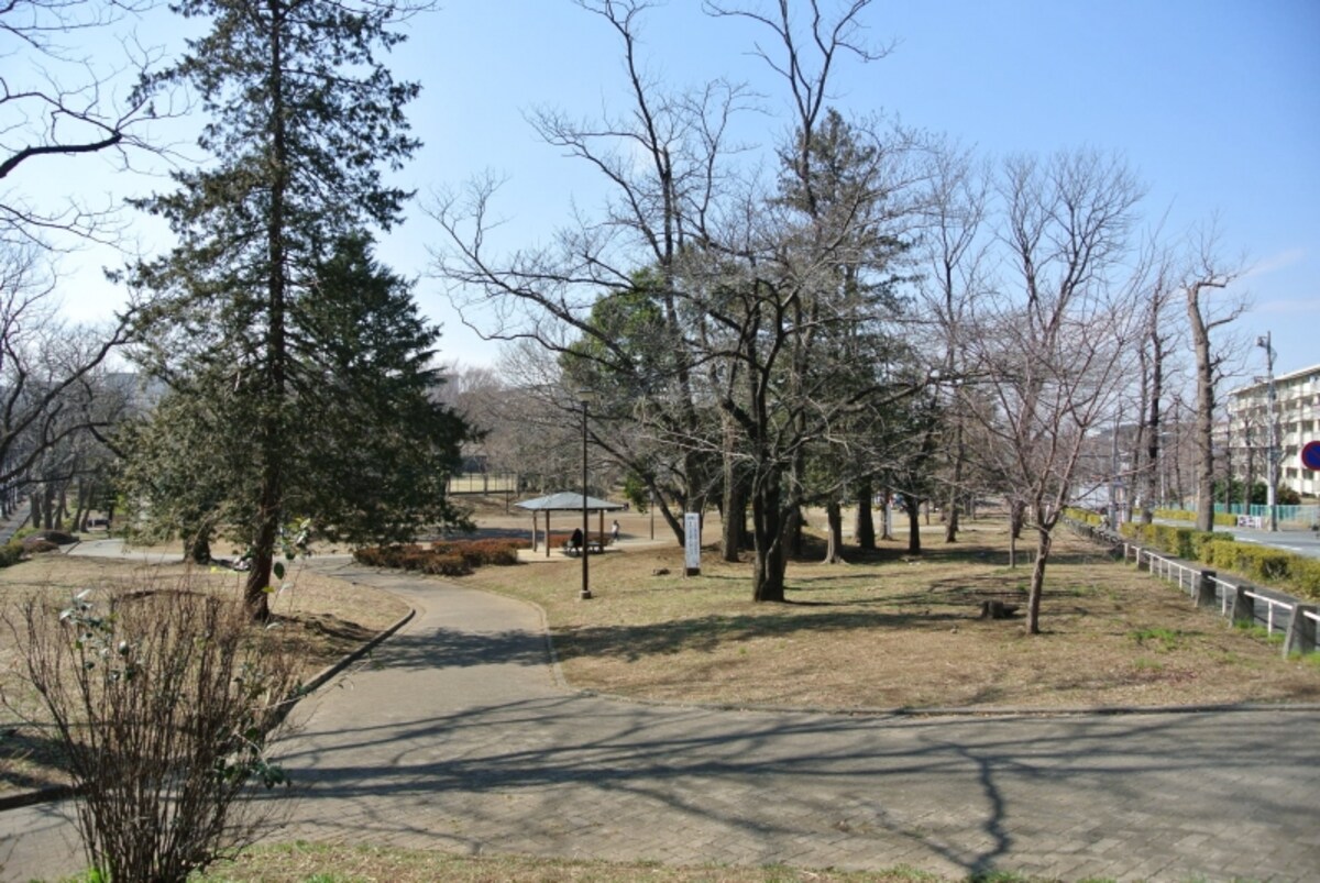 美しが丘公園