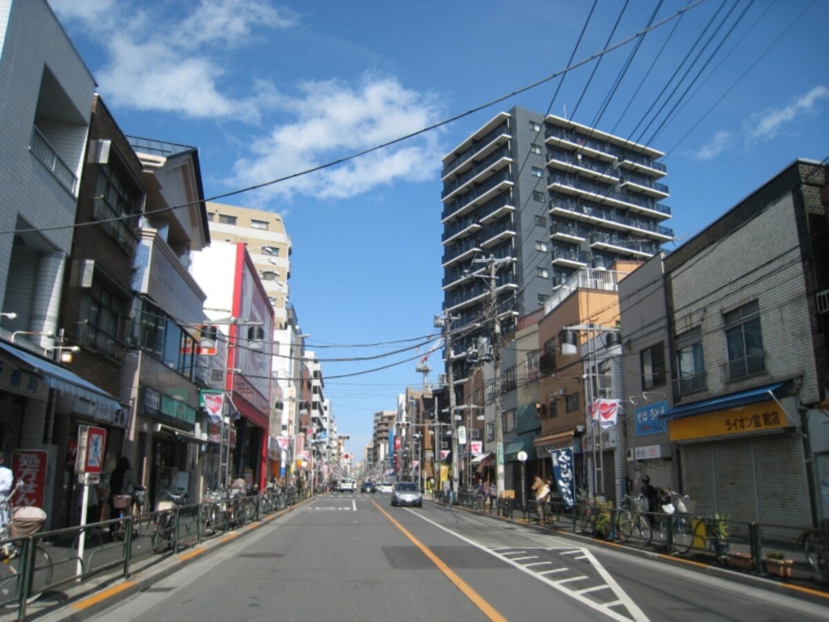 尾竹橋通り