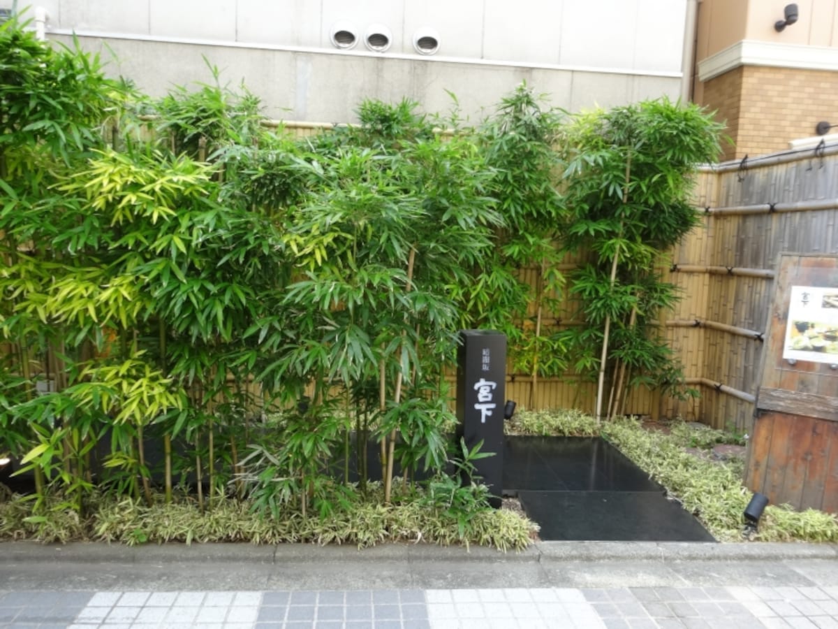 竹で飾られたエントランスはなかなかの趣