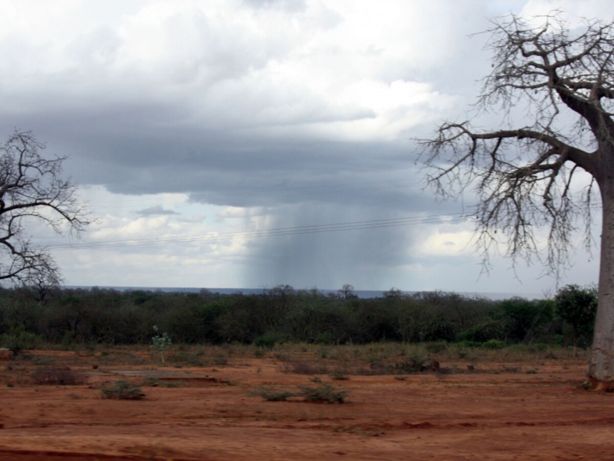 rain