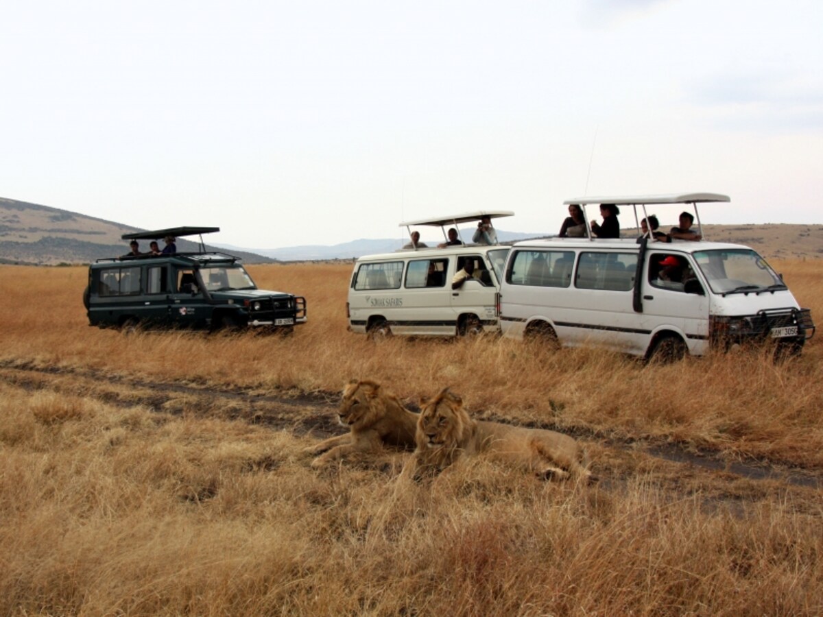 safaricar