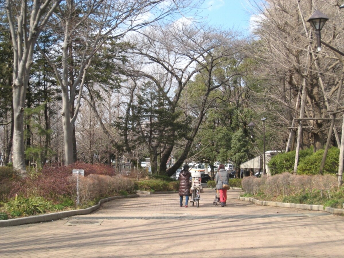 都立城北公園