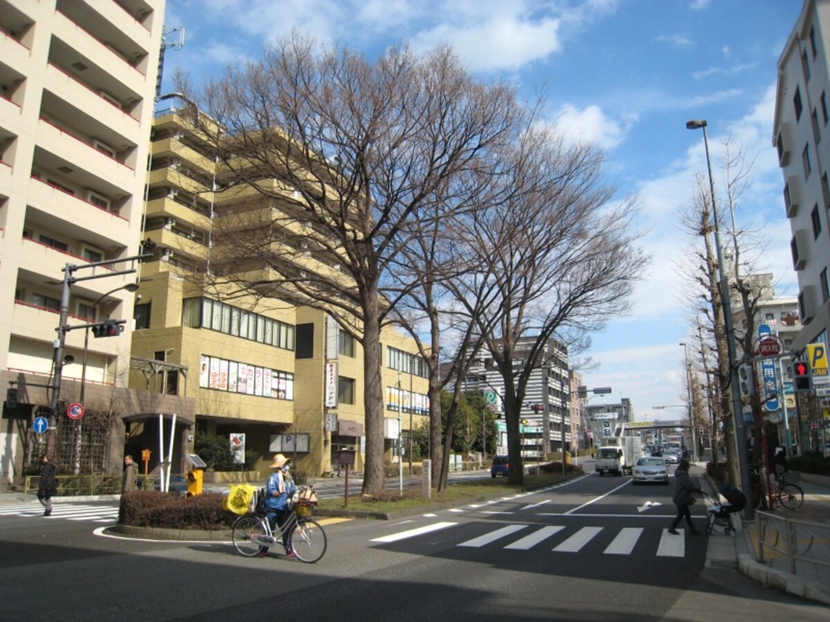 川越街道