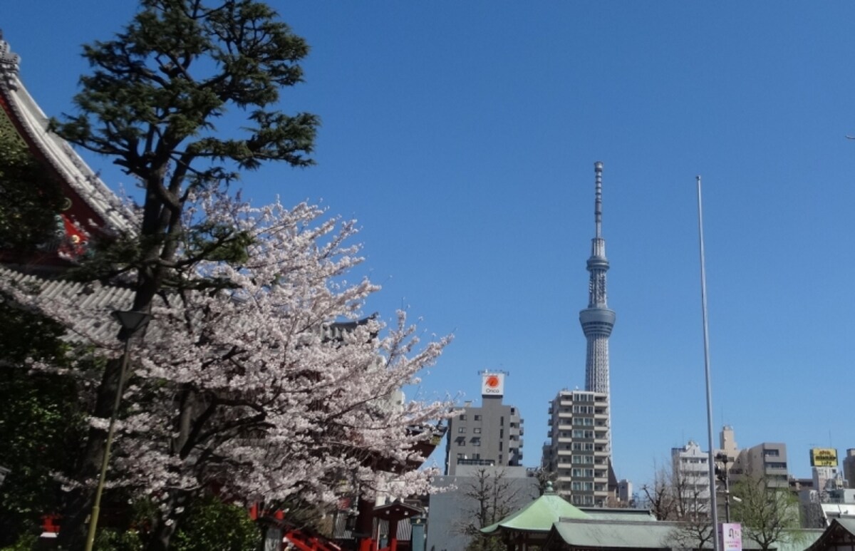 桜とスカイツリーが写せる撮影ポイントはひとでいっぱいだった