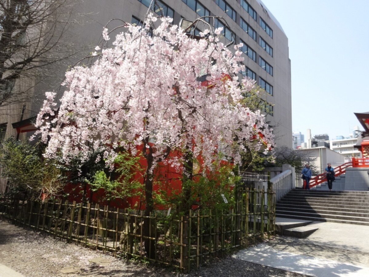 本殿手前にあり、多くの人が足を止めていた