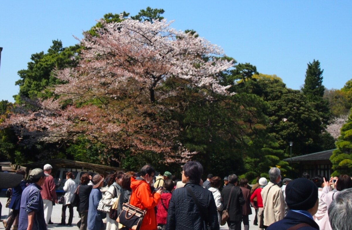通り抜けは一方通行