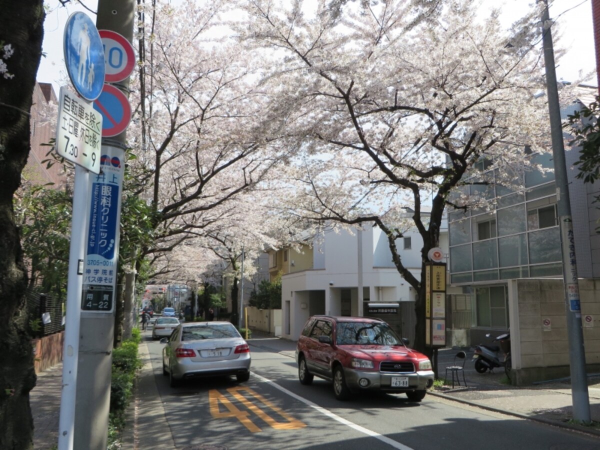一戸建て中心の住宅街