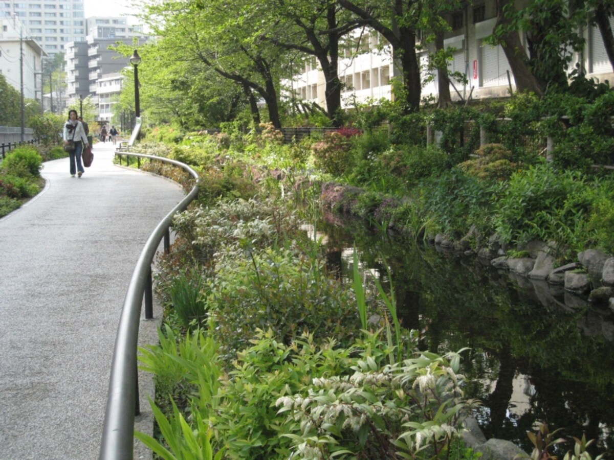 目黒川の緑道