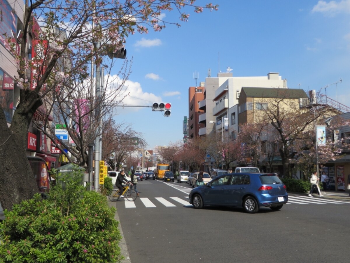 桜新町