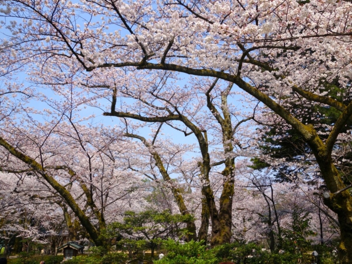 kenrokuen