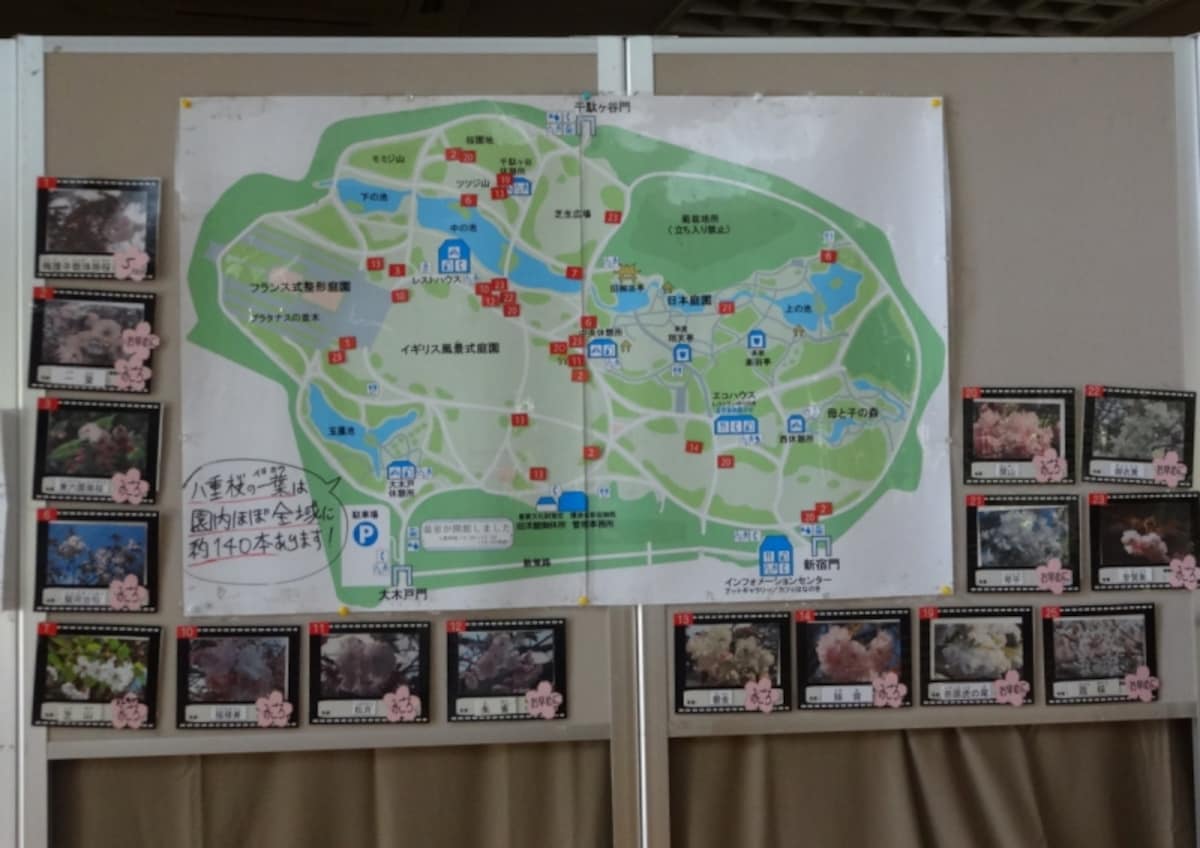 まずはこのマップを見て苑内に入ることをおすすめする