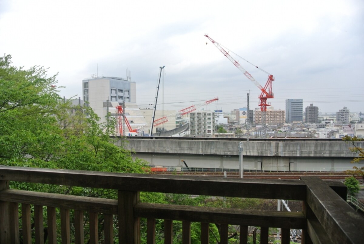 飛鳥山公園から見た「王子飛鳥山 ザ・ファースト タワー＆レジデンス」の現地