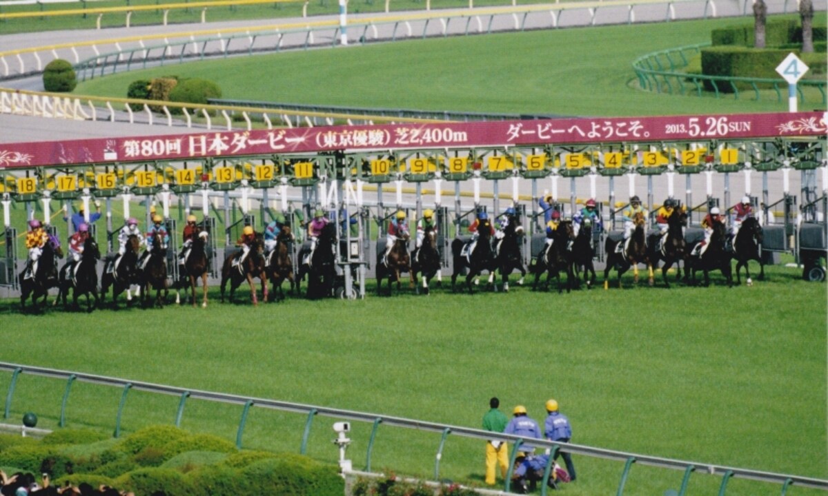 2014derby