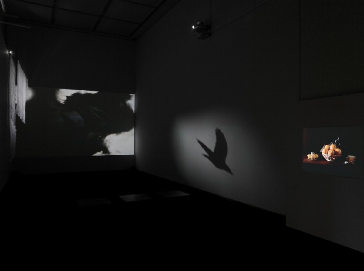 MOT Collection,  東京都現代美術館, 2011　Photo (C)椎木静寧