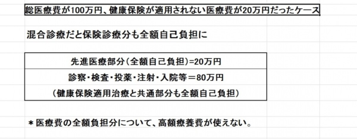 100万全額自己負担