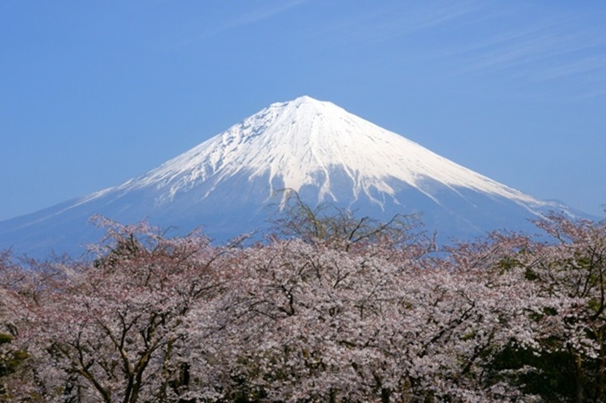 富士山