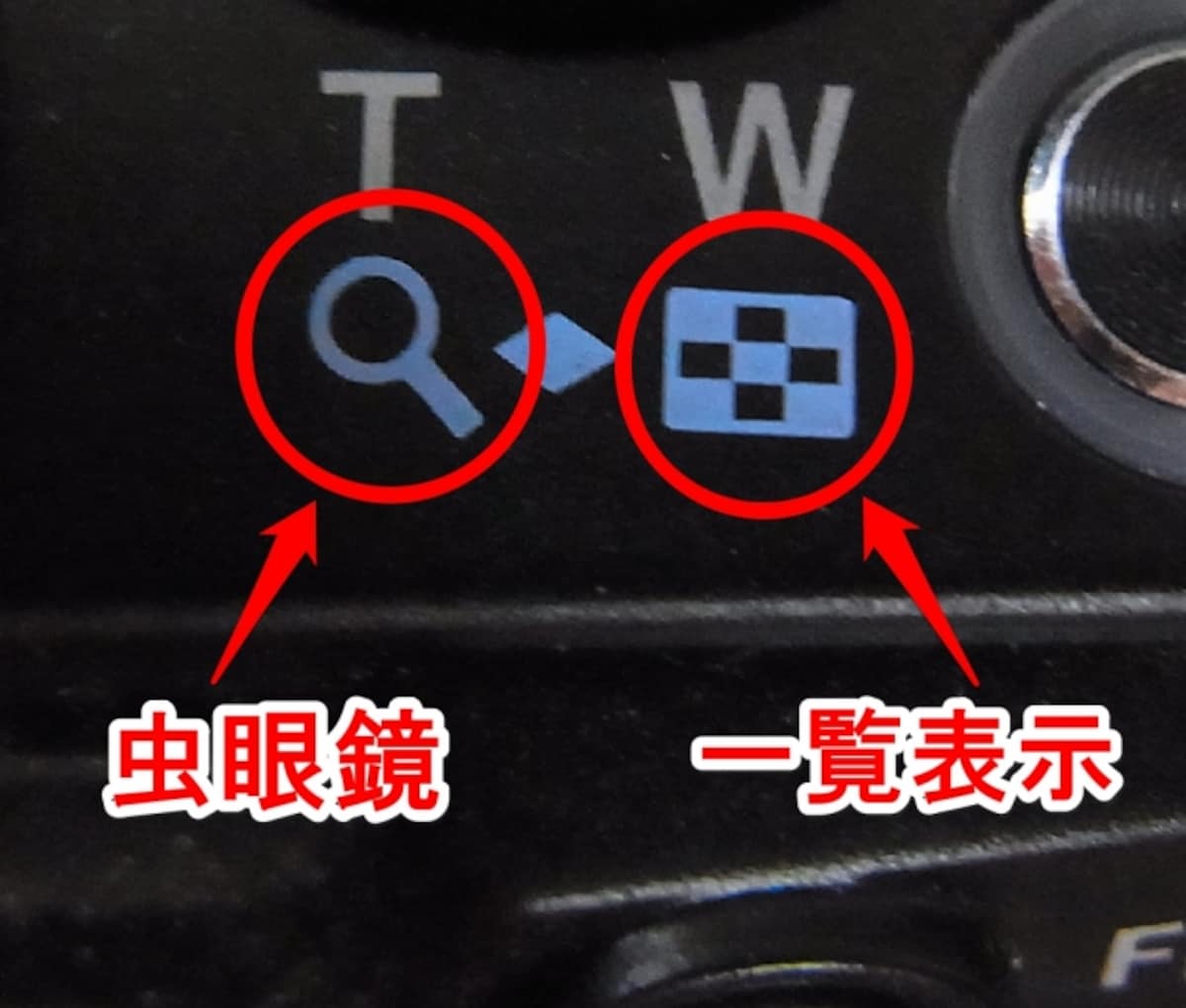 一覧表示