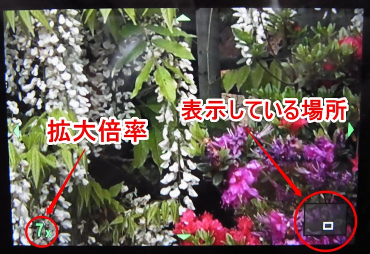 拡大