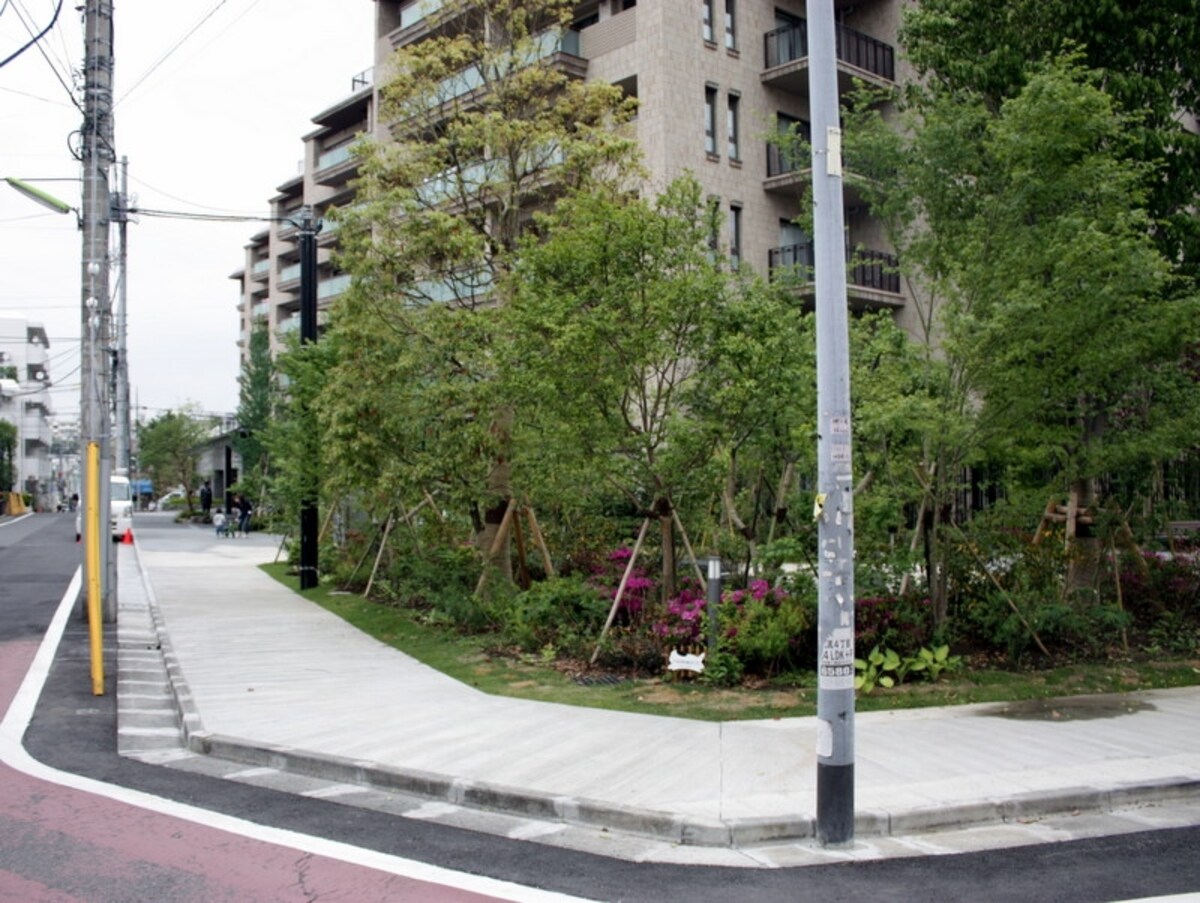 公園前の接道状況