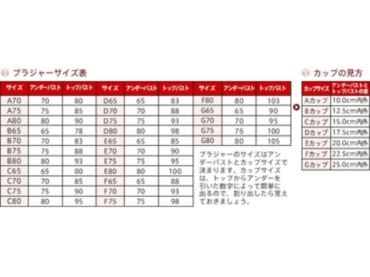 トリンプ・インター・ナショナルよる引用