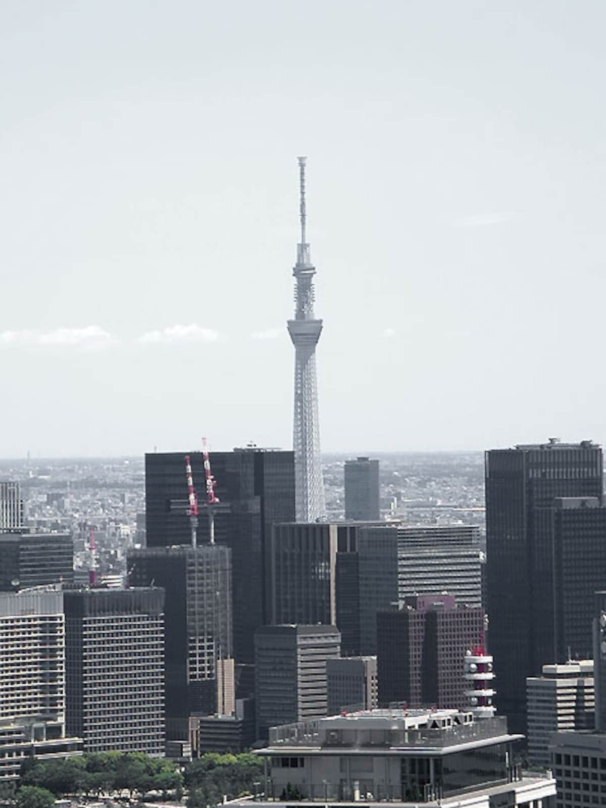 スカイツリー
