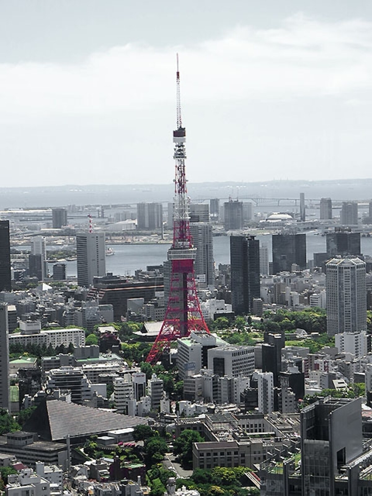 東京タワー