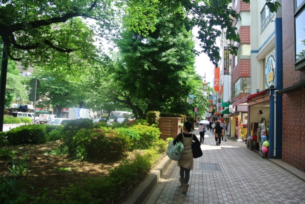 大学通りの遊歩道