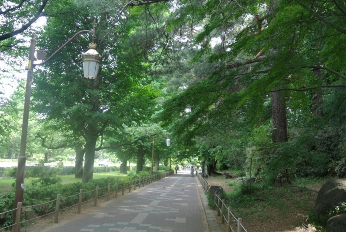 大学通りの歩道