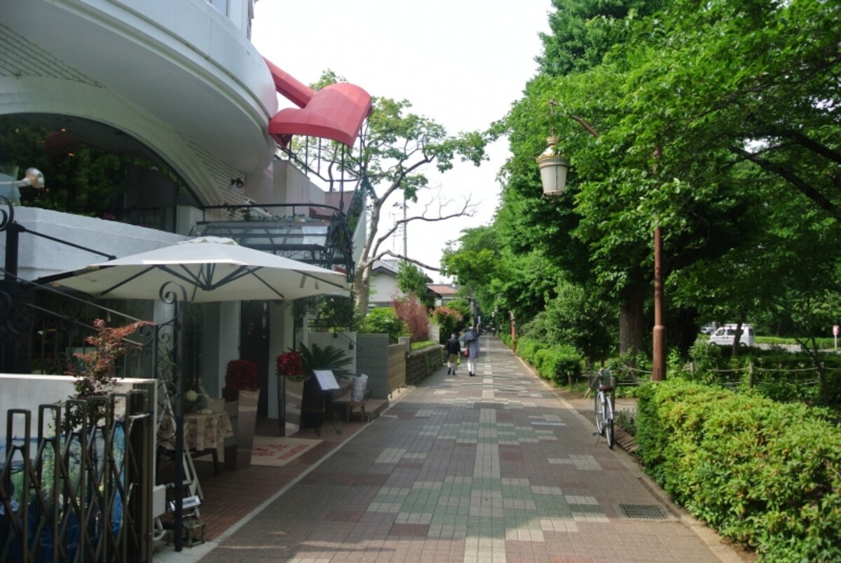 大学通りの沿道