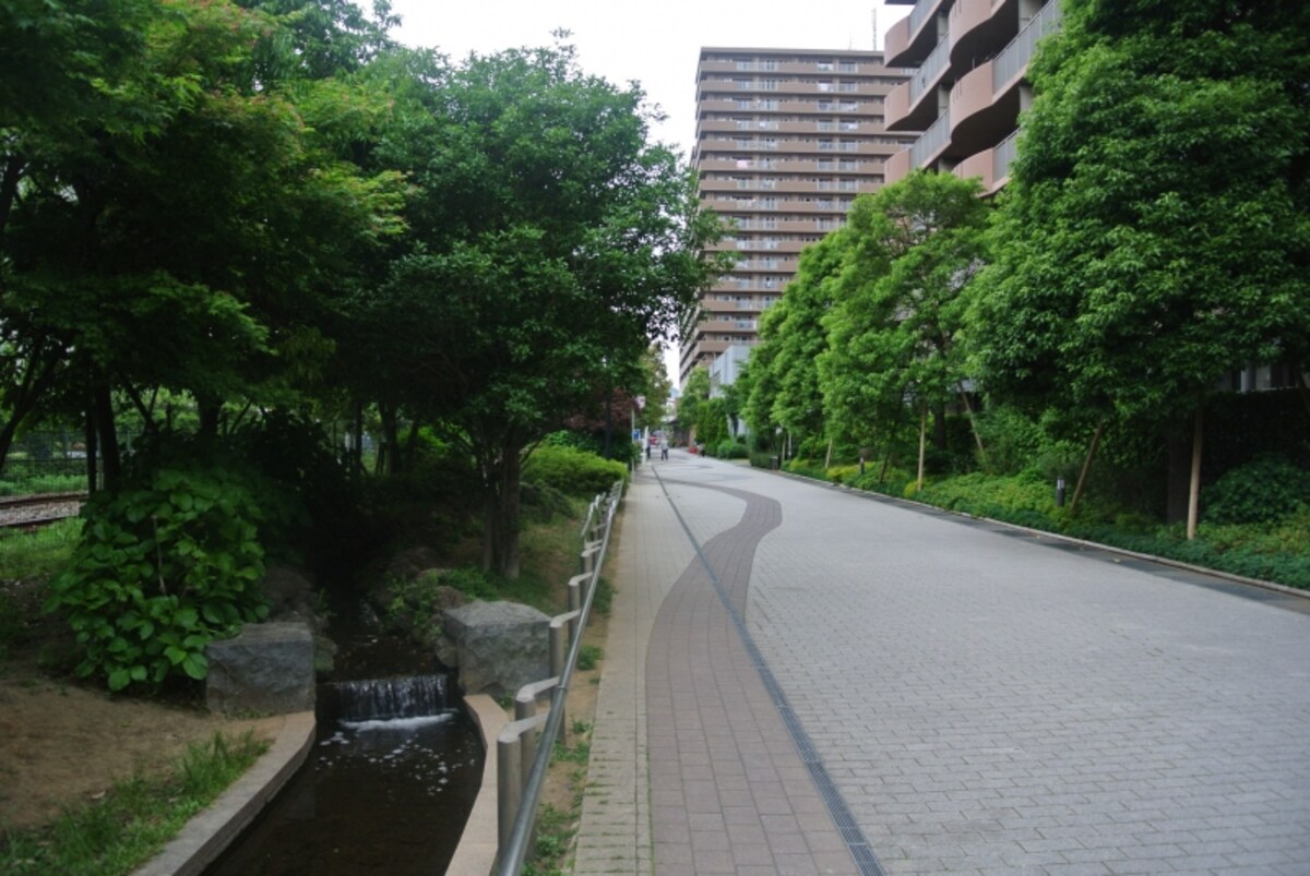 並木道のせせらぎ