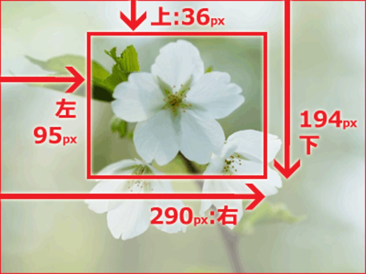 切り抜く範囲の指定