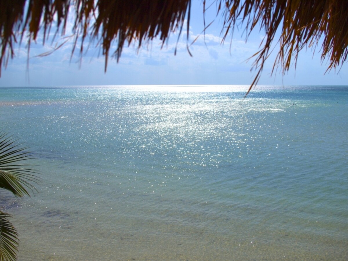 holbox2