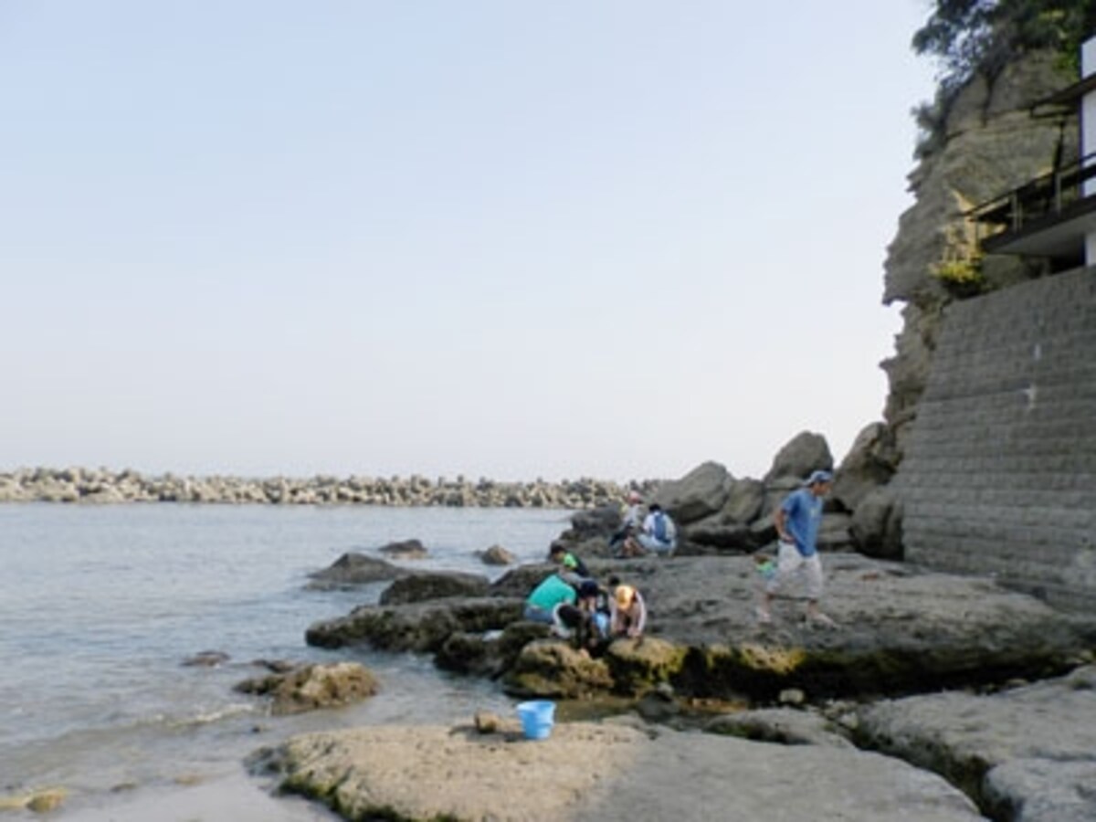 小動岬の岩礁
