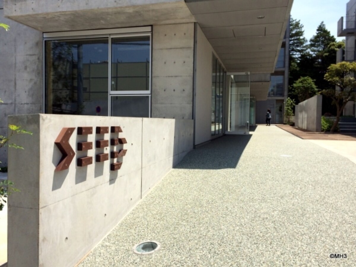 「Seed」1階、右が中庭