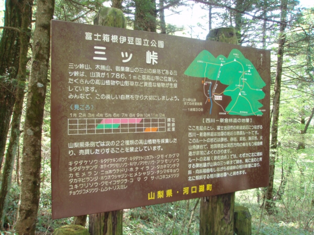 駐車場にある看板