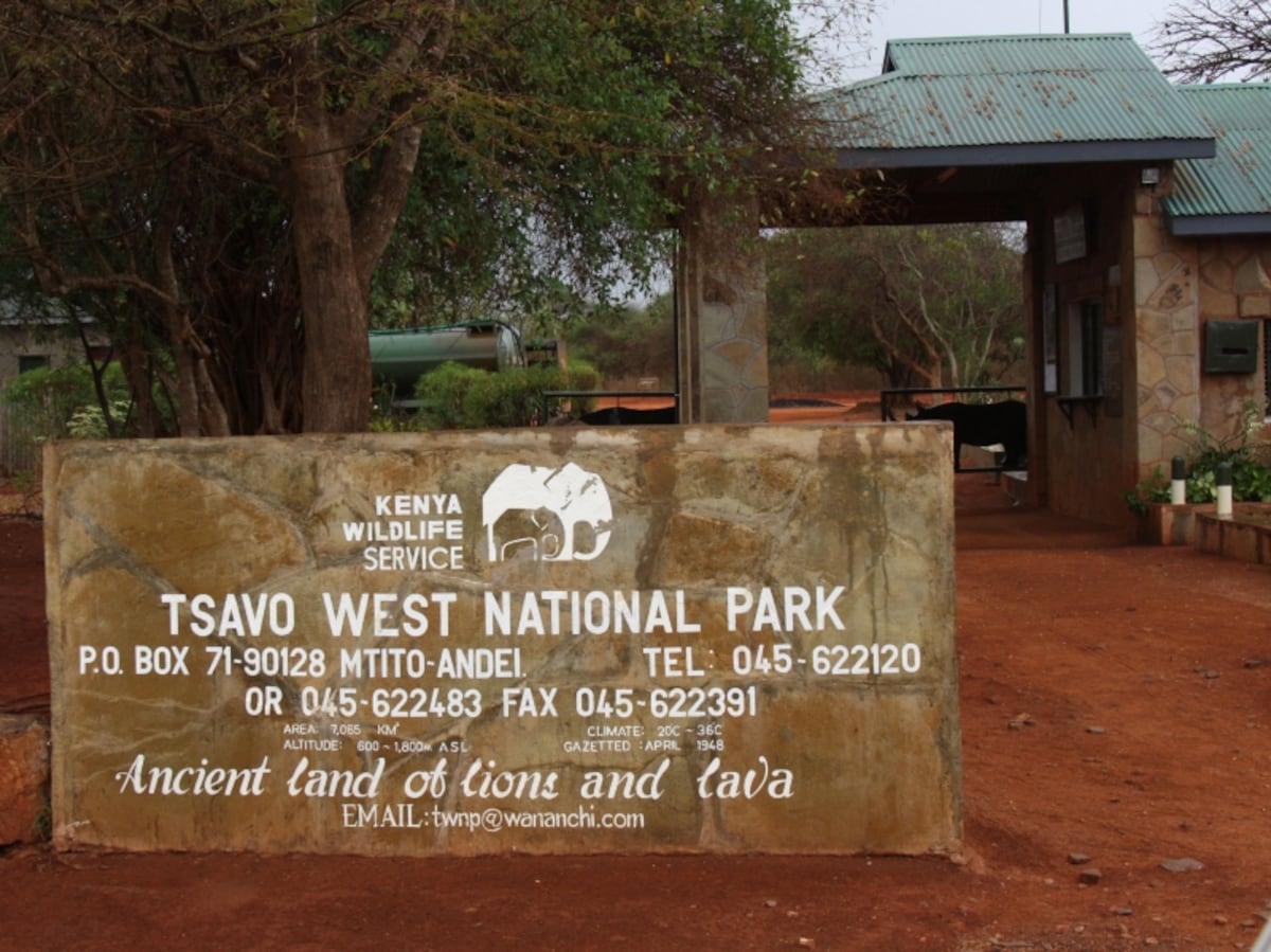 tsavogate