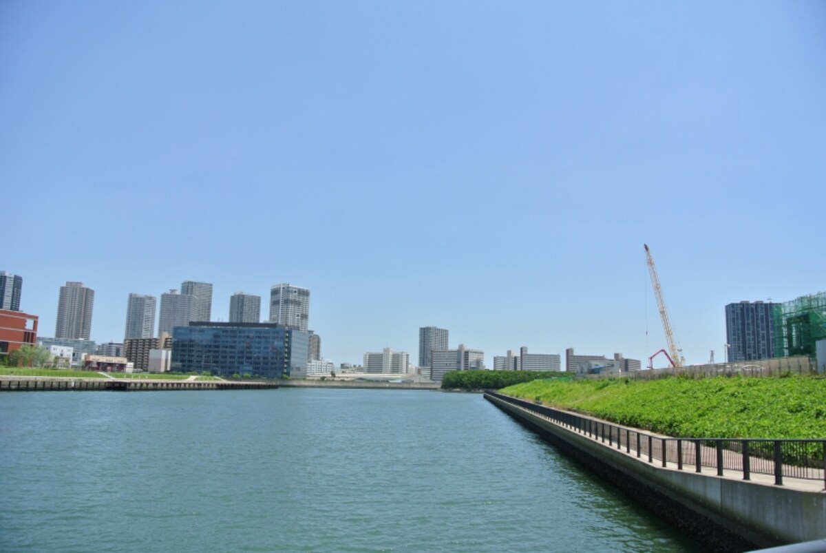 近くの公園から開発地を望む