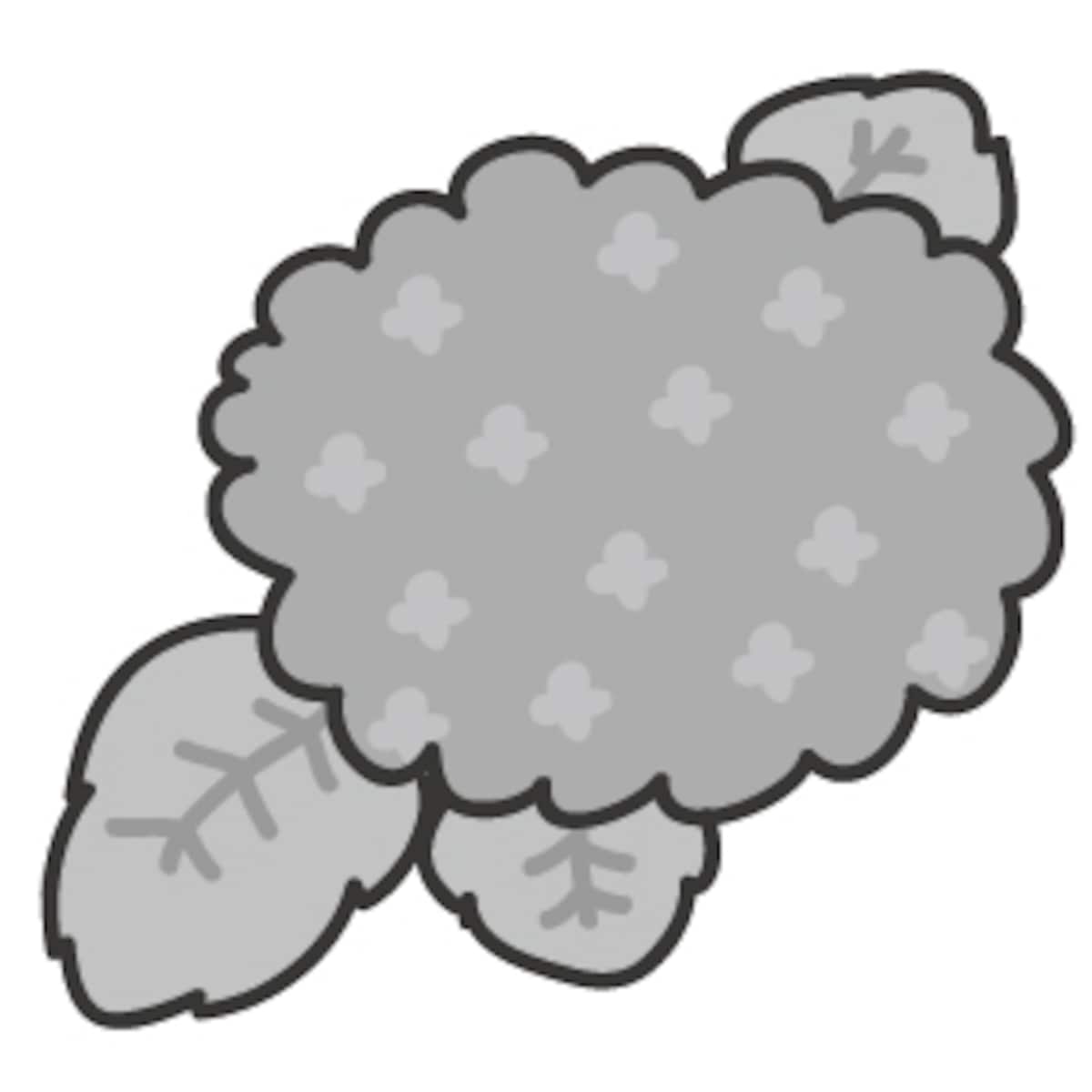 あじさい　梅雨　イラスト　白黒　かわいい