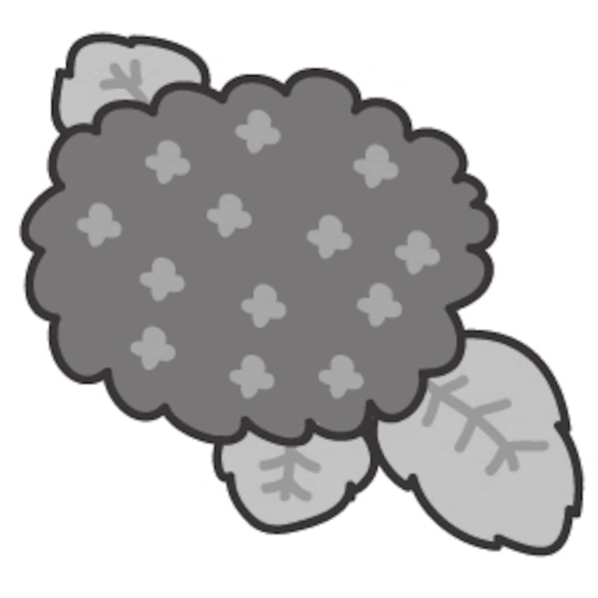 あじさい　梅雨　イラスト　白黒　かわいい