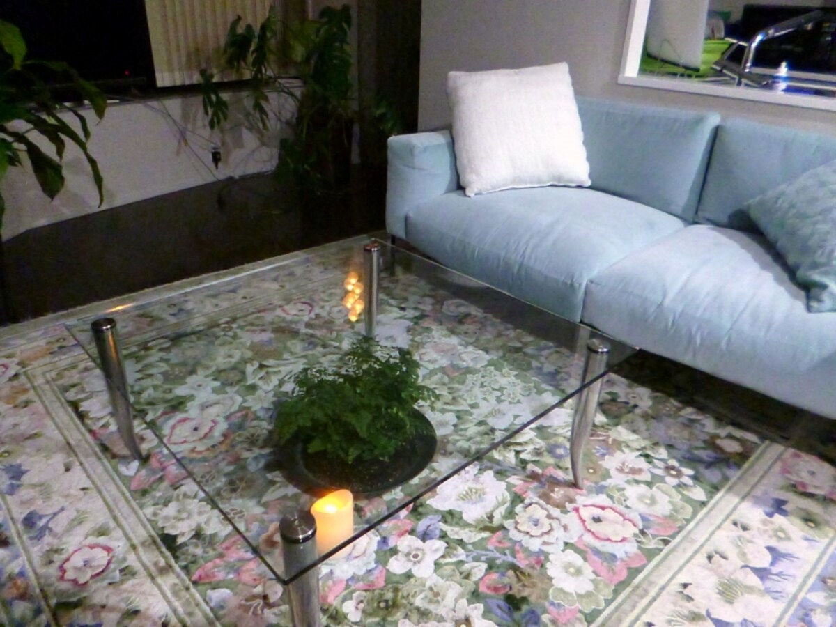 植物とLED照明器具を合わせた夏のコーディネート。揺らぐ光や影、ガラスや金属製のテーブルの脚が涼しさを演出しています