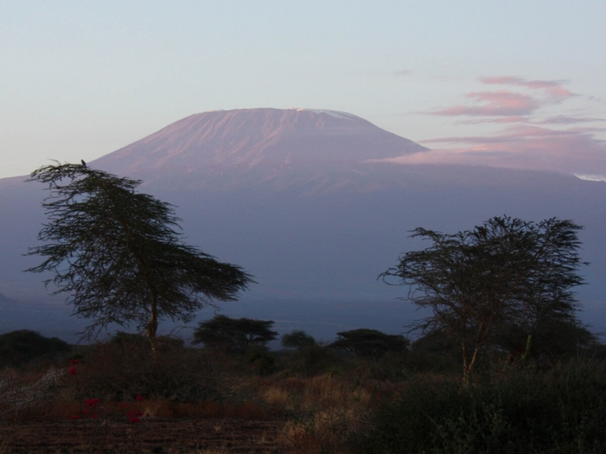 kilimanjaro