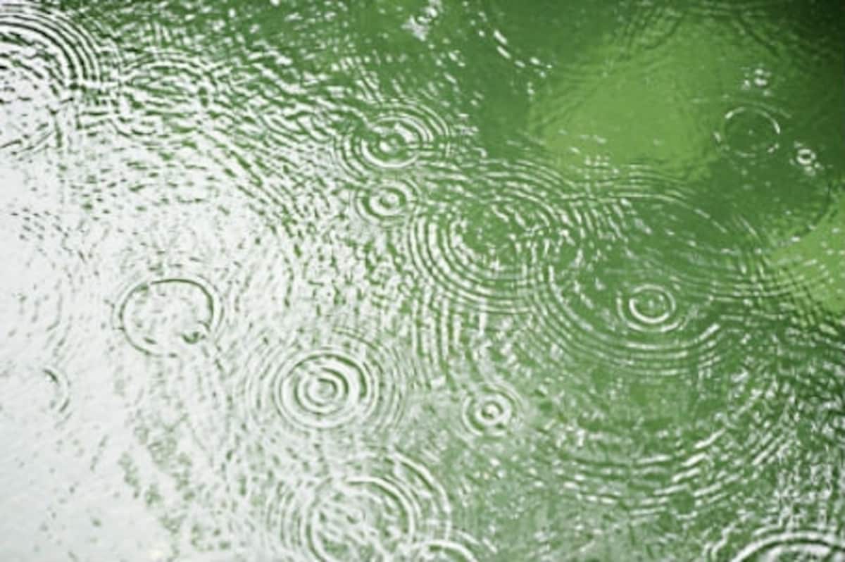 スキューバダイビング,雨