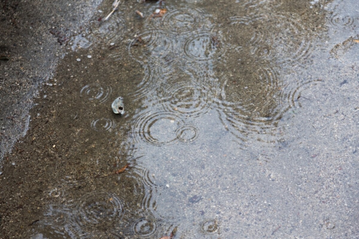 雨の日に写真を撮ろう