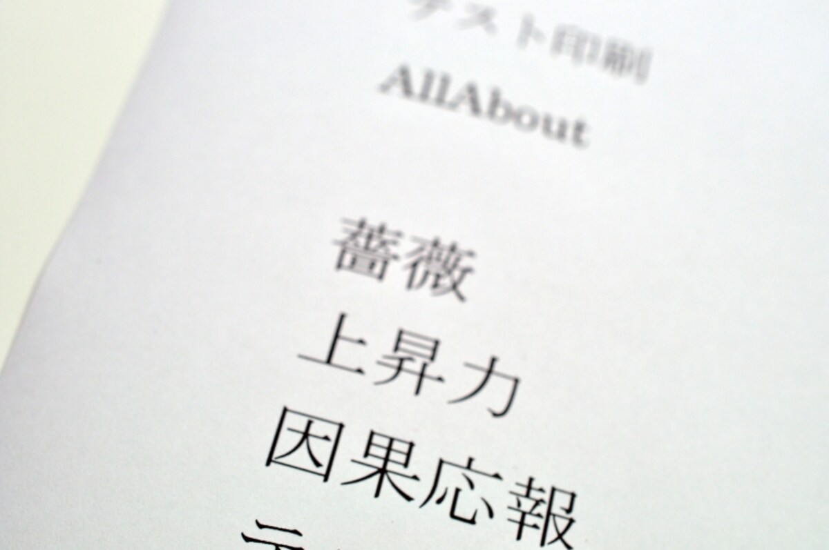 製品写真