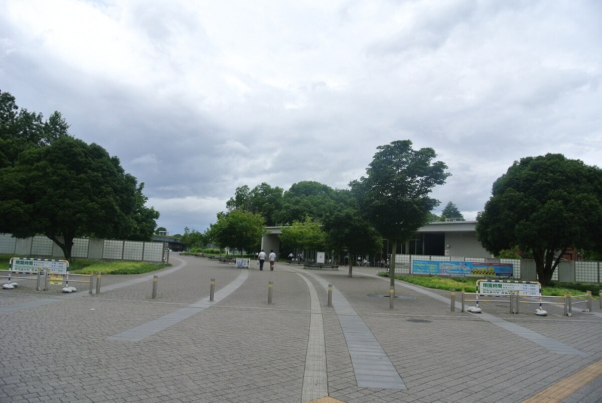 国営昭和記念公園