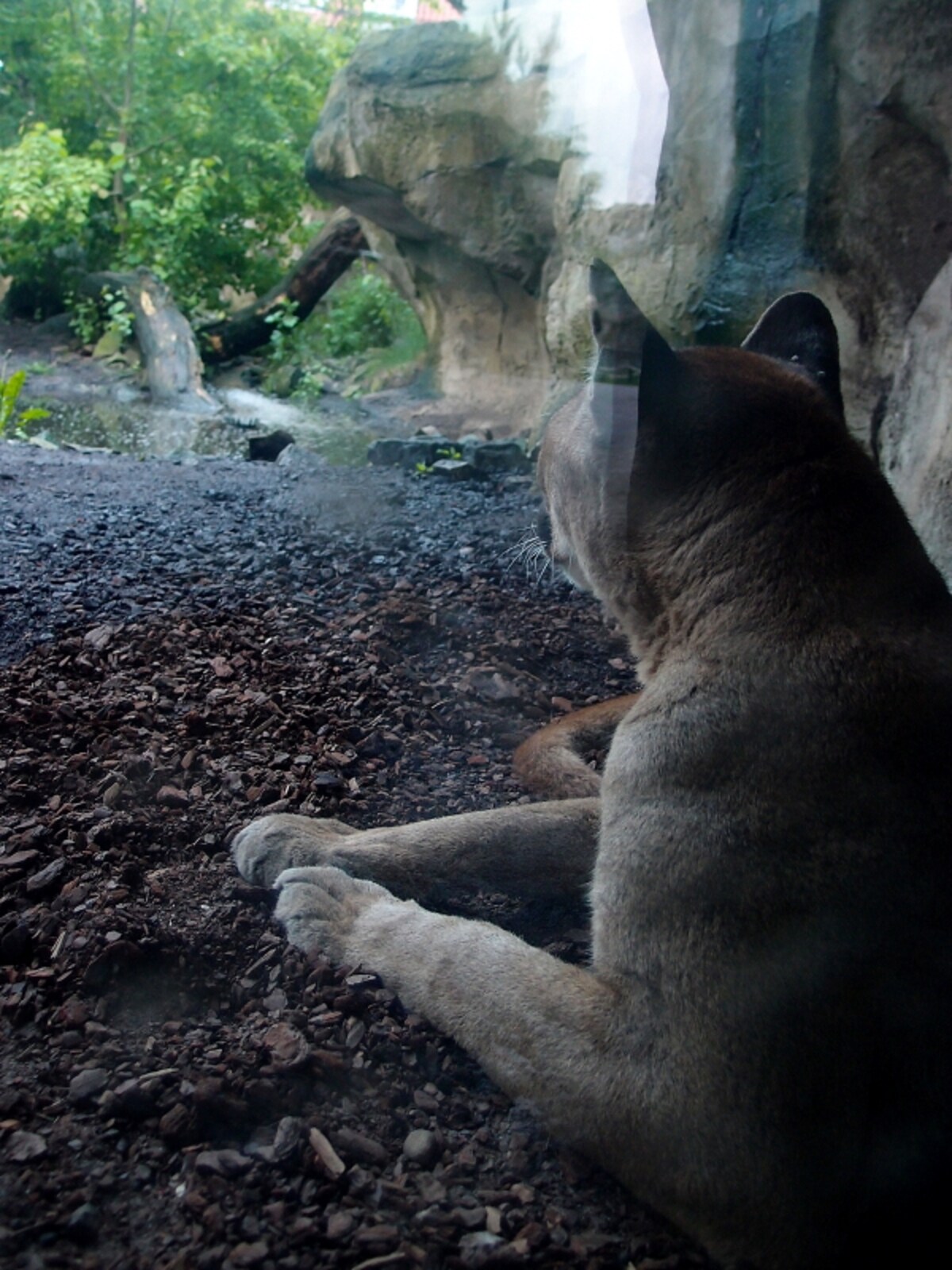 zoo3