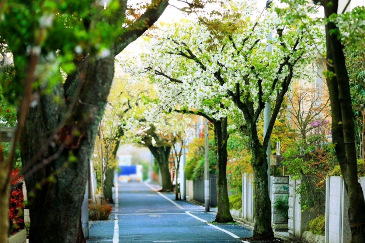 周辺の街並み（※現地より約390m/徒歩5分）