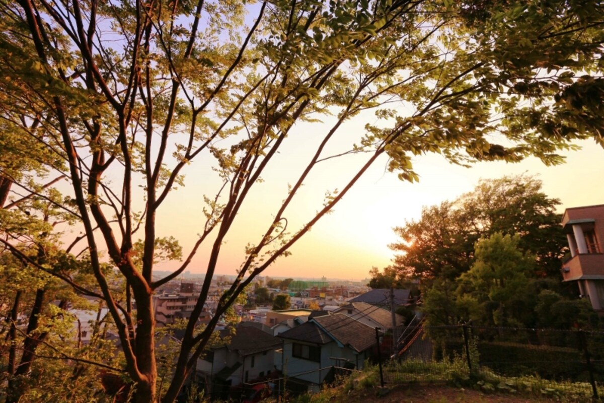成城三丁目緑地（※現地より約210m/徒歩3分）